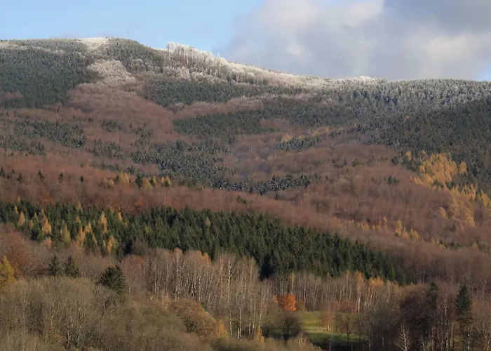 Penzion U Nás - Zajíc Vapenna